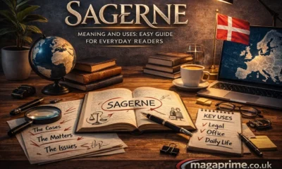 sagerne