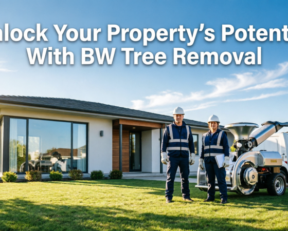 BW Tree Removal