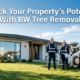 BW Tree Removal