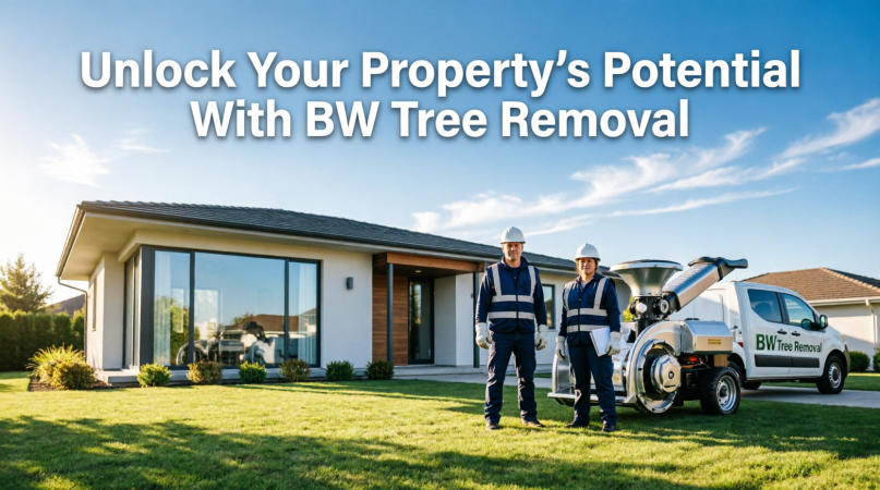 BW Tree Removal