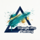 Triangle Pro Painting